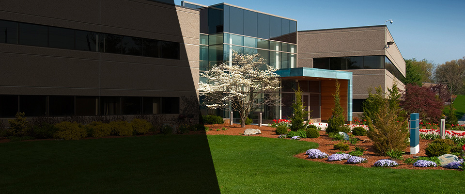 Clio Landscapers