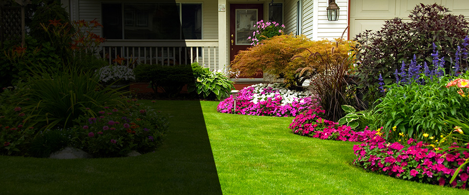 Clio Landscapers