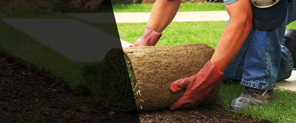 Clio Landscapers